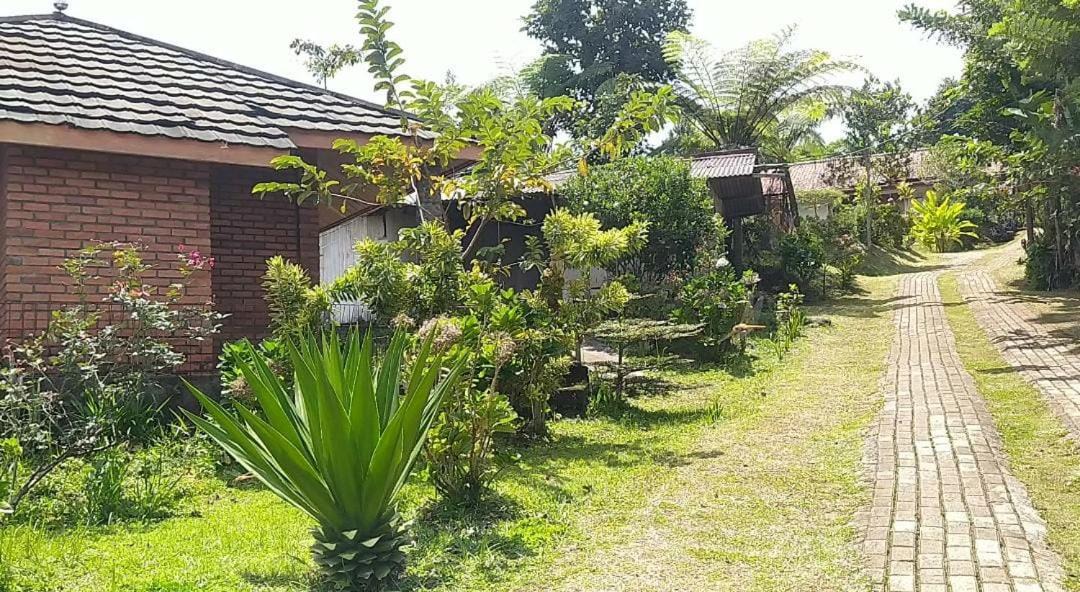 Photo of Buildings in Ciloto