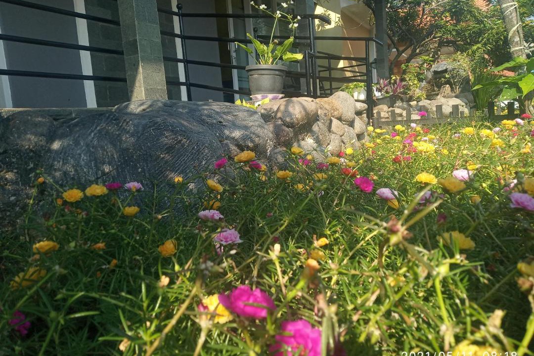 Photo of Outdoor in Majalengka