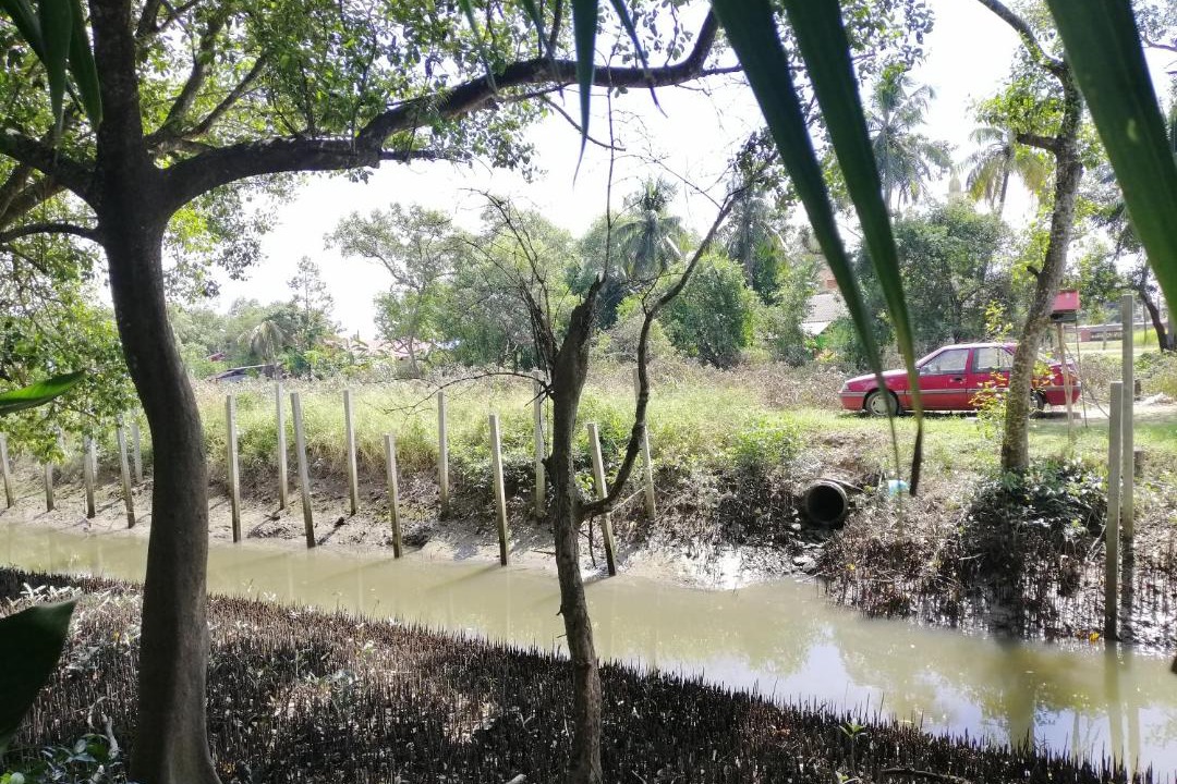 Photo of Outdoor in Kuala Teriang