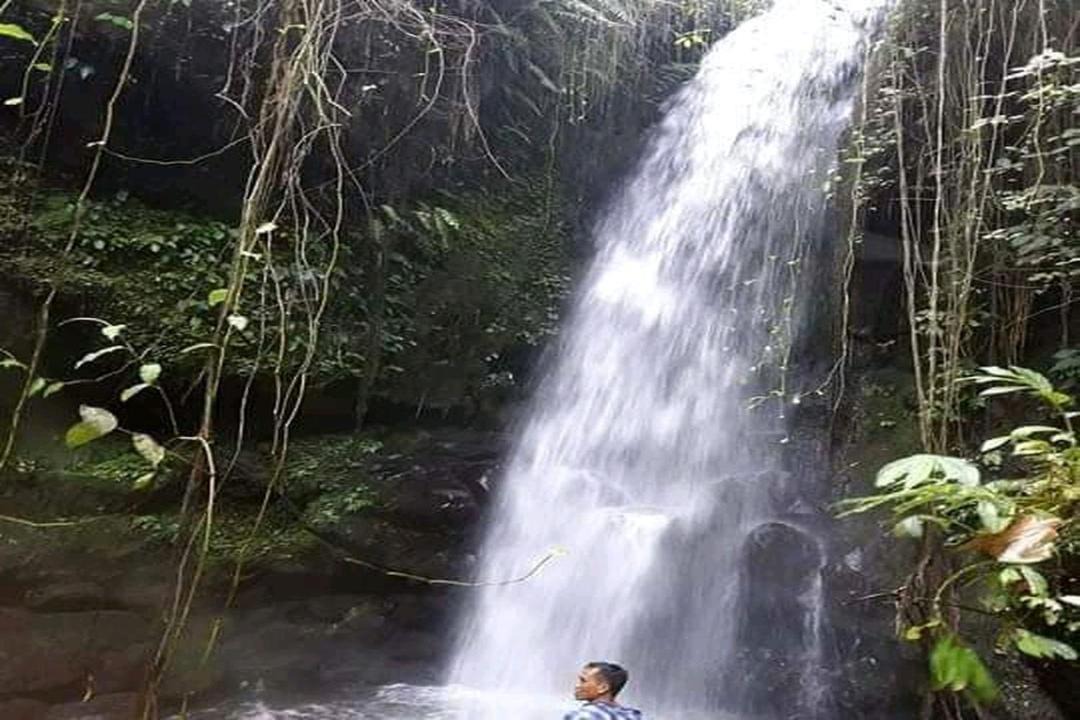 Photo of Others in Kecamatan Montong Gading