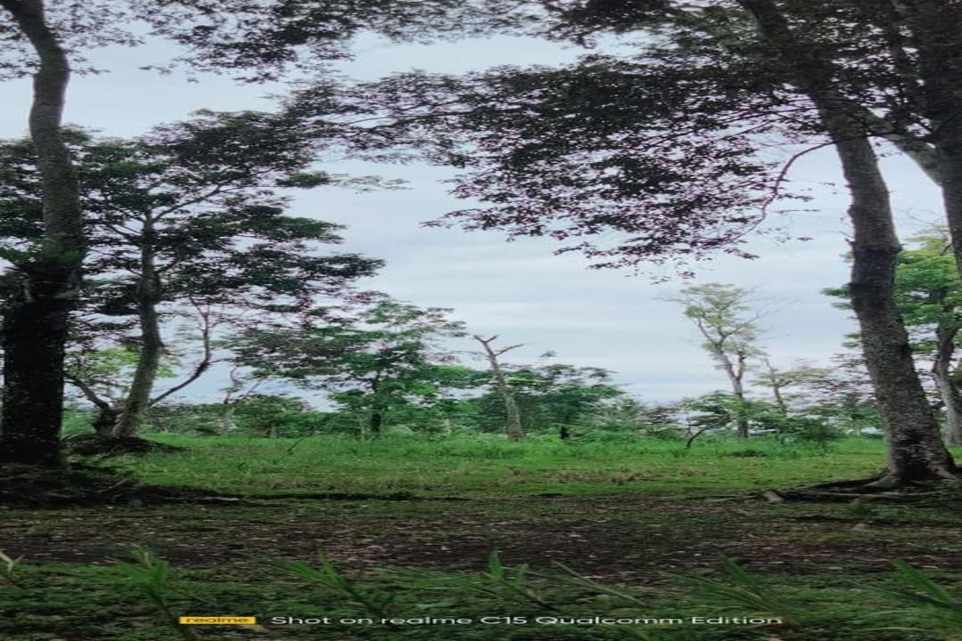 Photo of Outdoor in Kecamatan Montong Gading