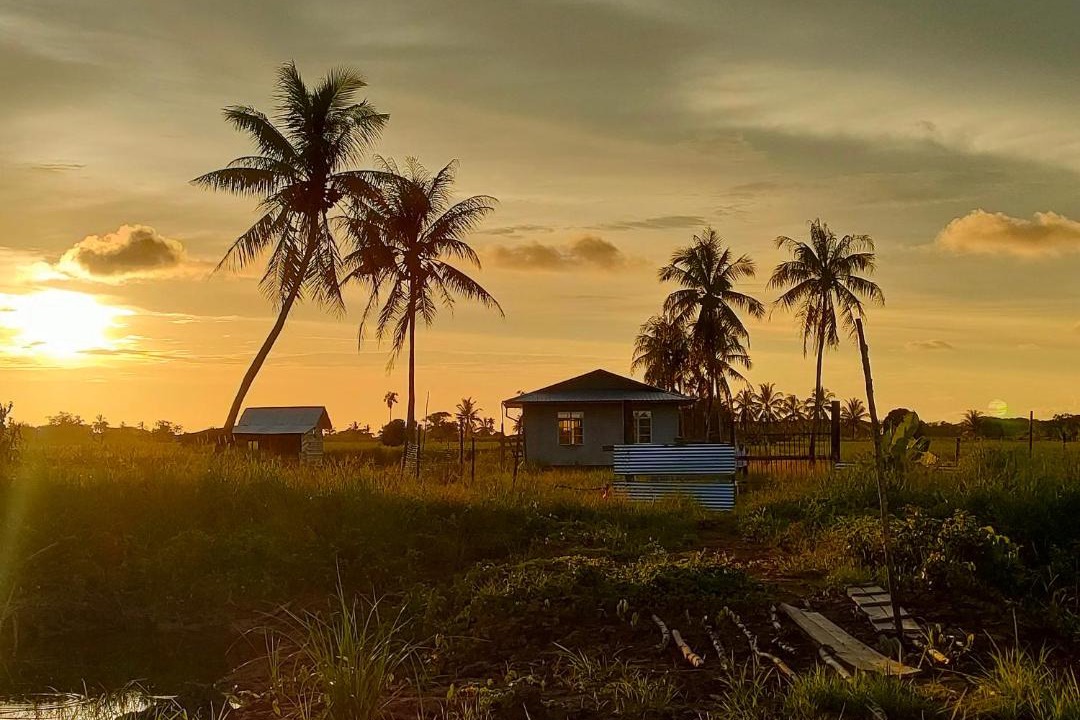 Photo of Outdoor in Daro District