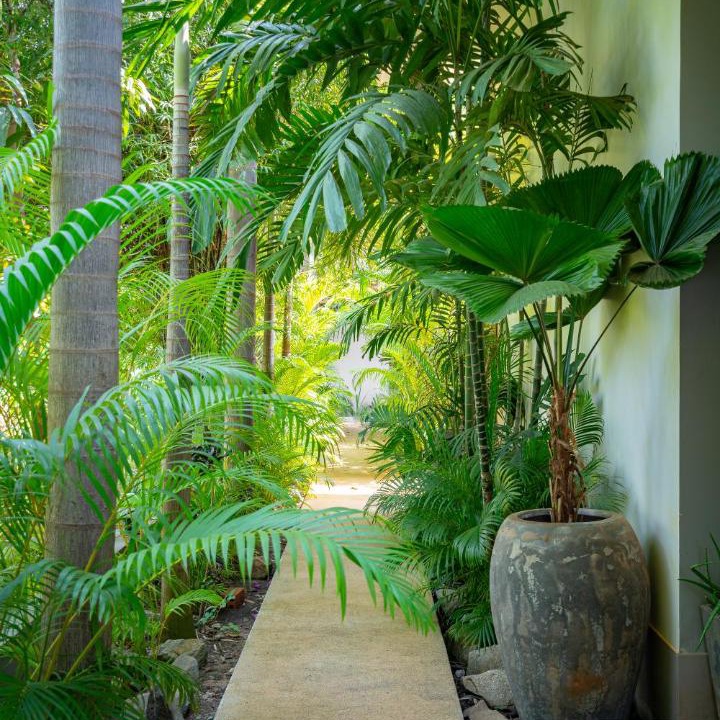 Photo of Patio Balcony in Siem Reap
