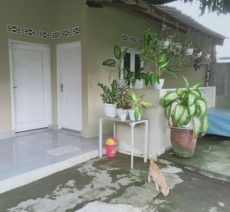 Photo of Others in Kecamatan Kuripan