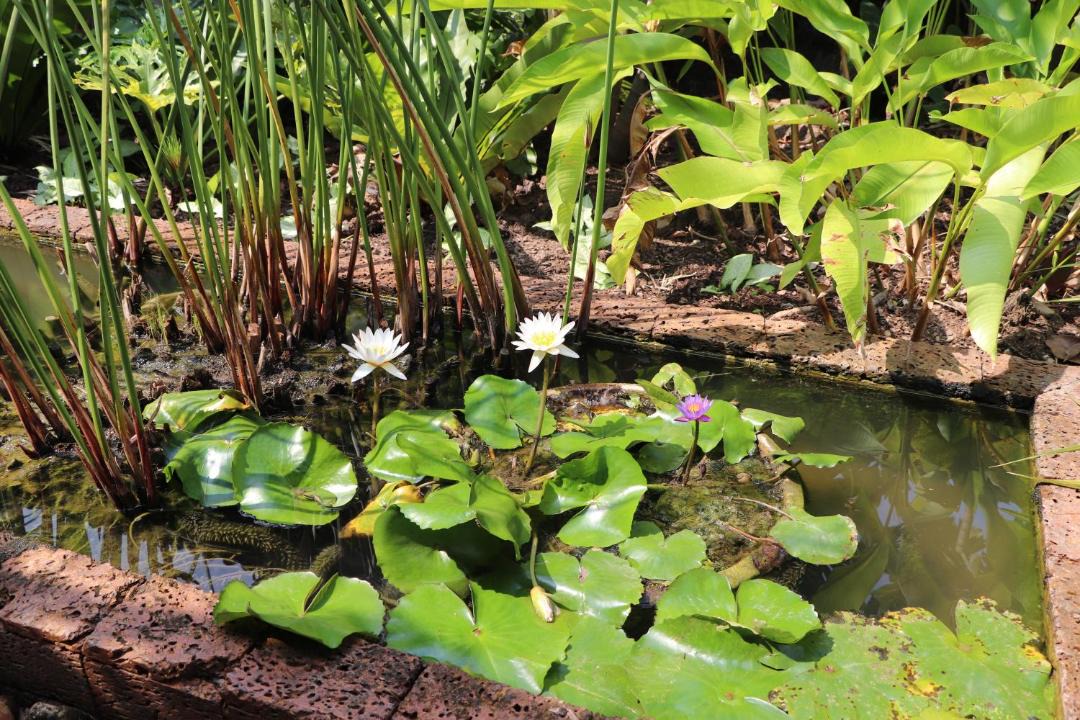 Photo of Others in Kampot
