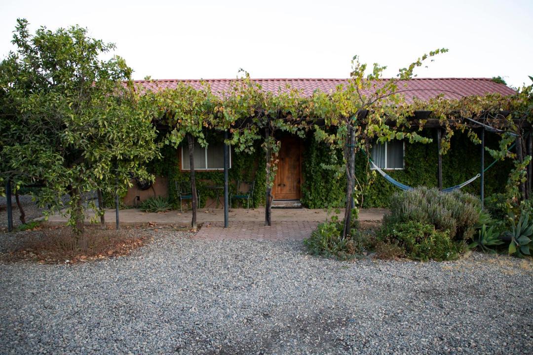 Photo of Others in Valle de Guadalupe
