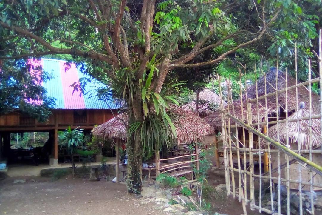Photo of Others in Pu Long Nature Reserve