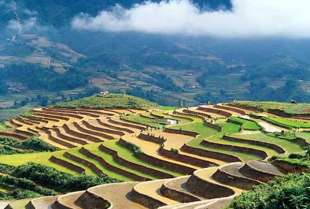 Photo of Others in Lao Cai