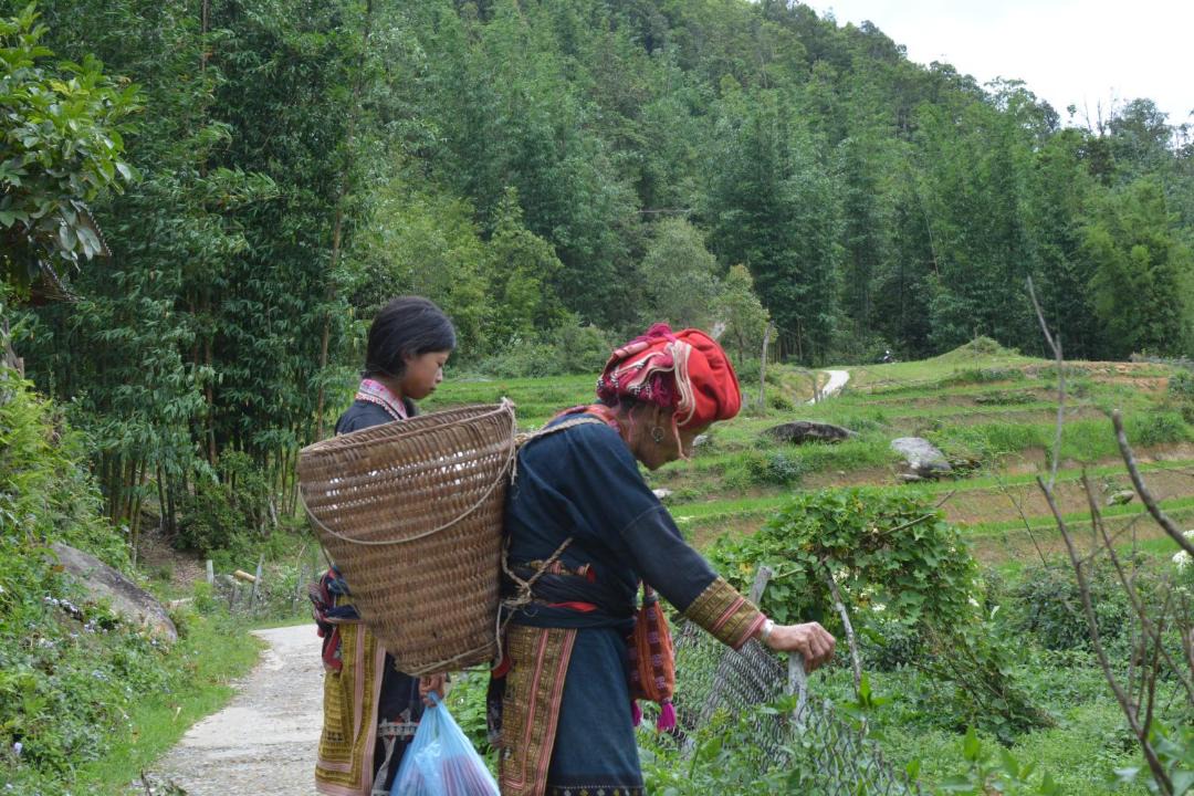 Photo of Others in Lao Cai