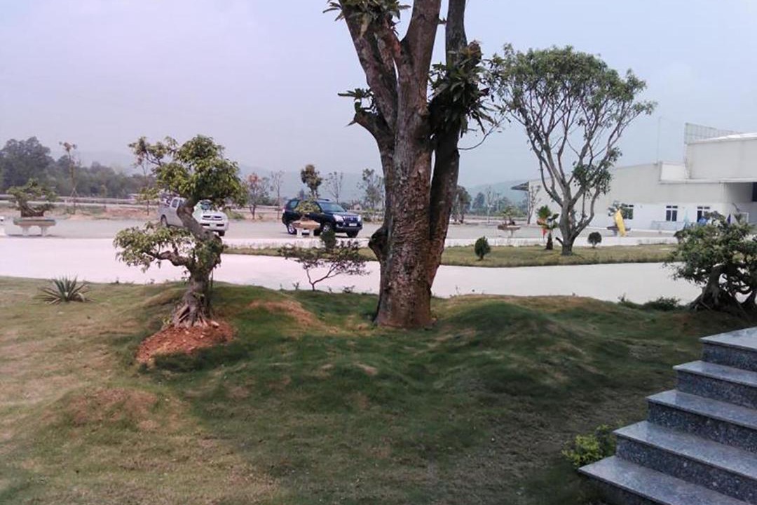 Photo of Others in Tinh Gia