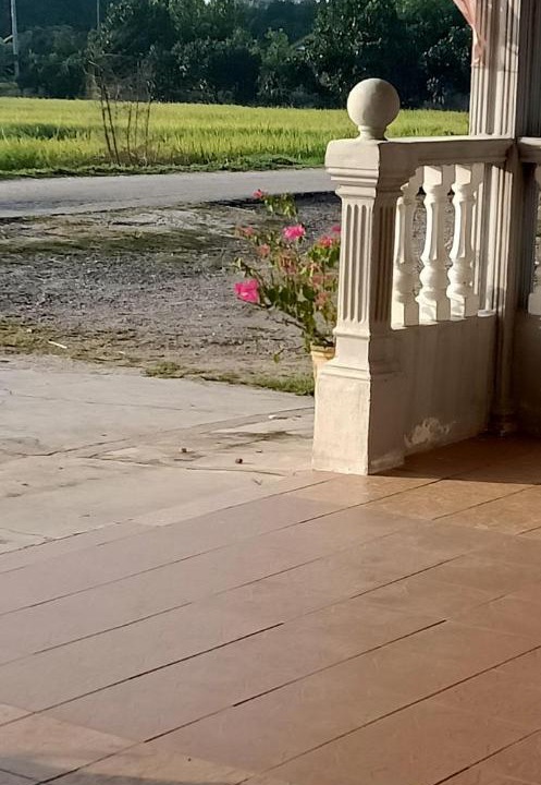Photo of Others in Kampung Permatang Janggus