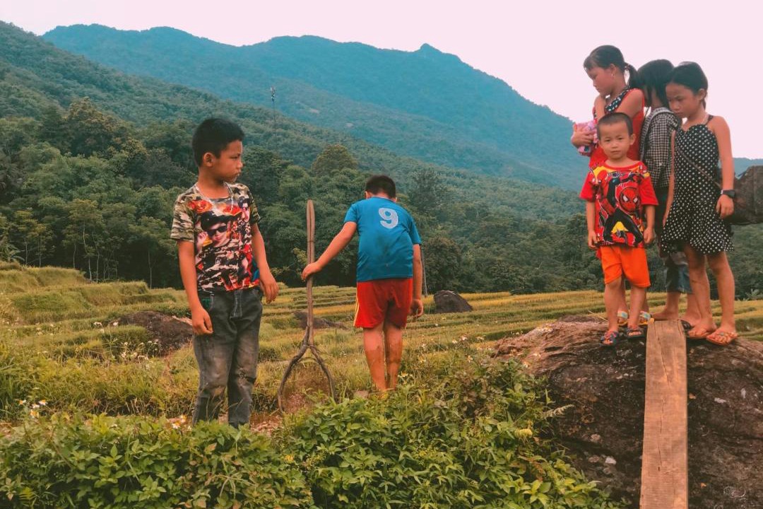 Photo of Others in Pu Long Nature Reserve