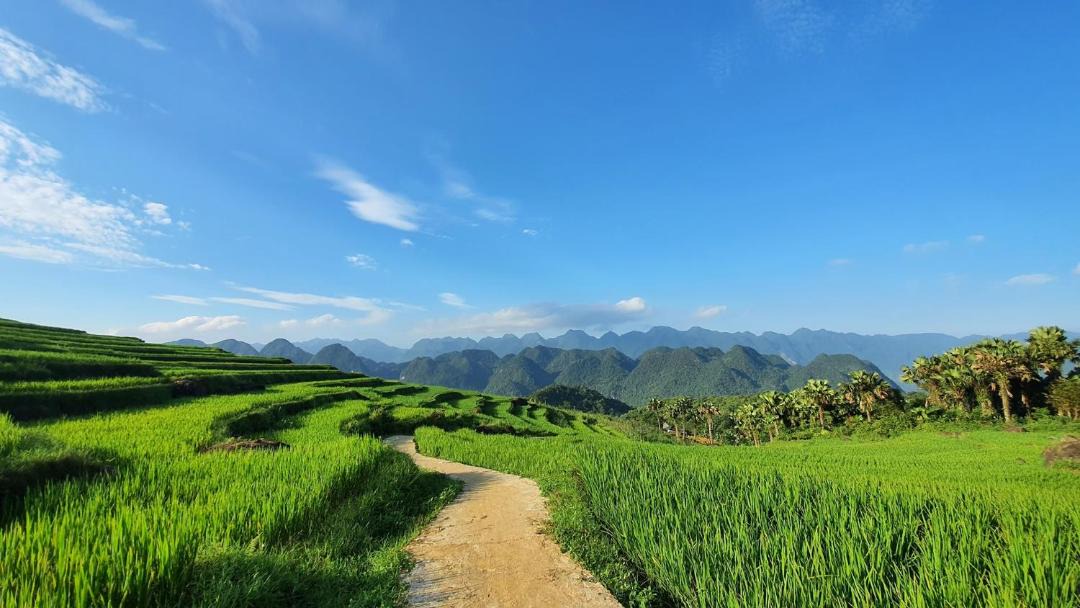 Photo of Others in Pu Long Nature Reserve