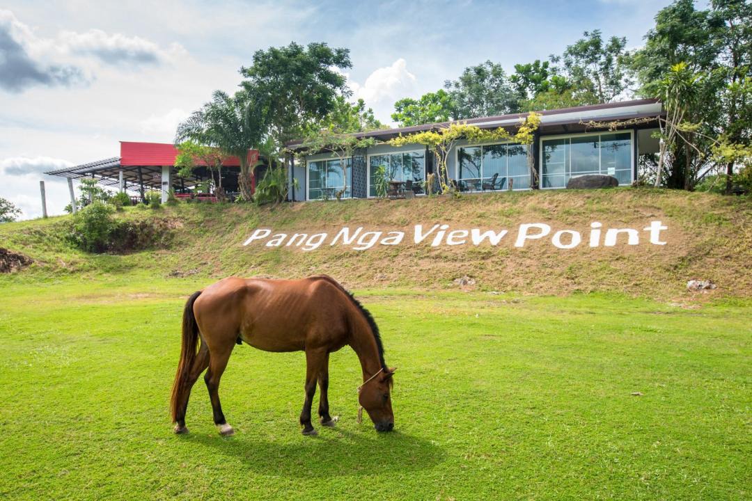 Photo of Others in Phangnga
