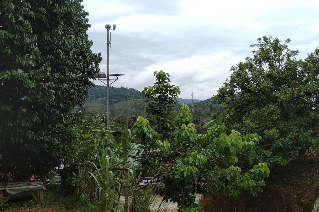 Photo of Others in Jeli