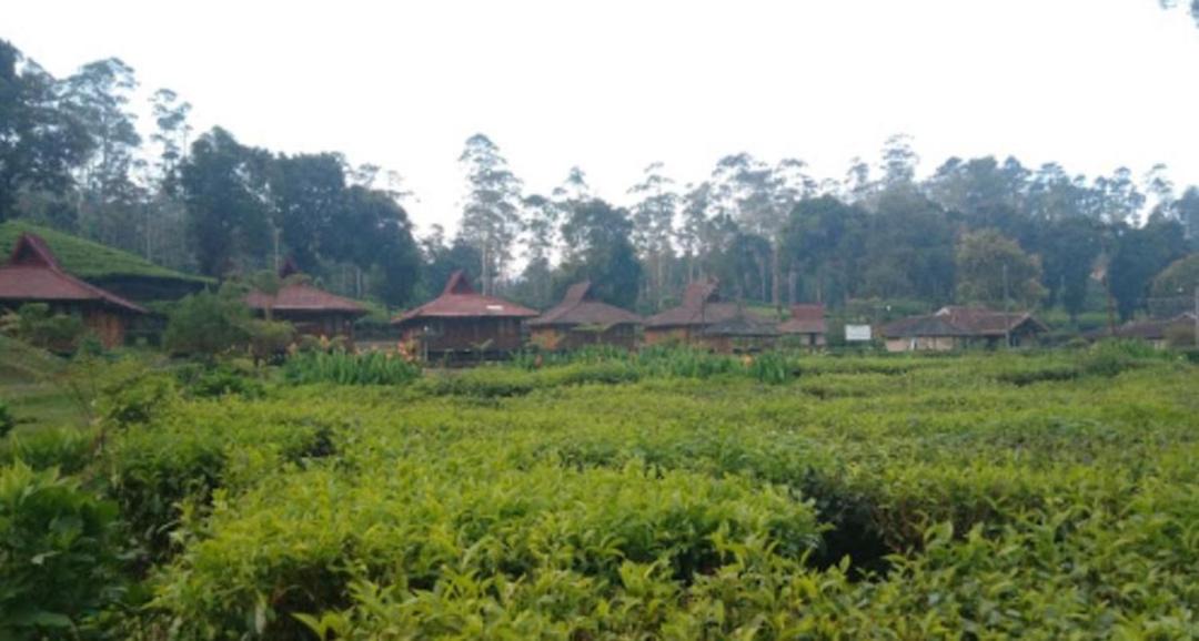Photo of Outdoor in Rancabali