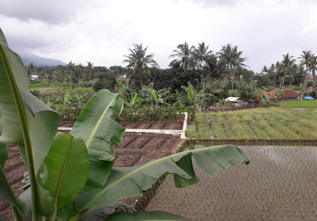 Photo of Others in Jalaksana