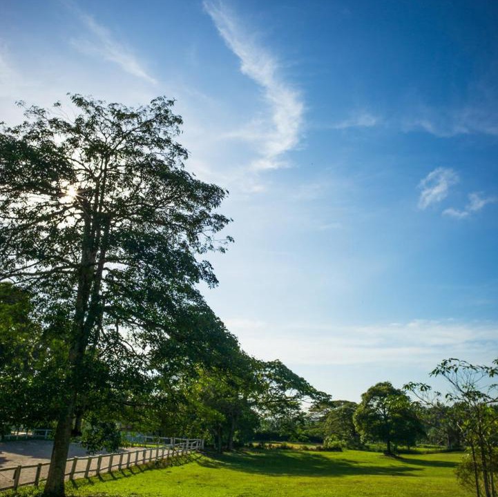 Photo of Others in Kulai