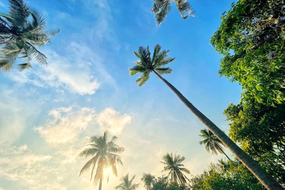 Photo of Others in Koh Rong
