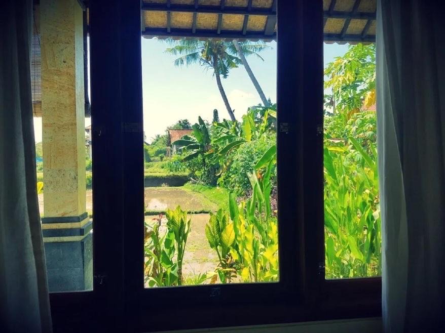 Photo of Others in Ubud