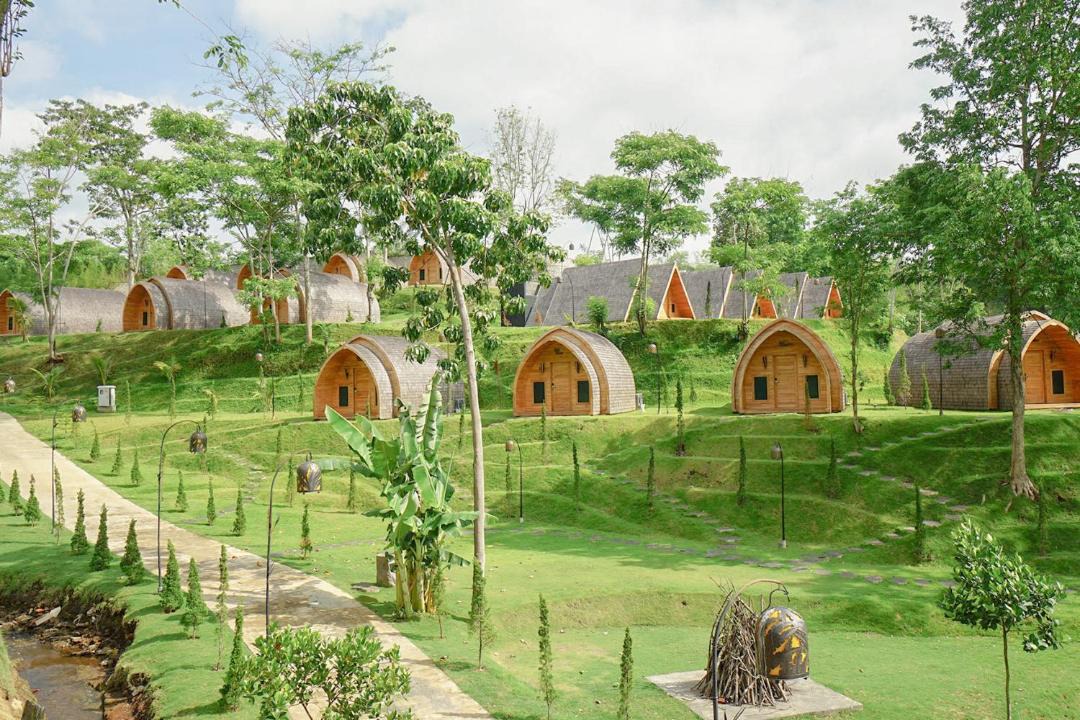 Photo of Others in Dinoyo