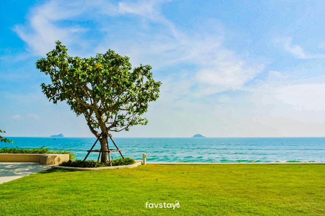 Photo of Others in Khao Tao