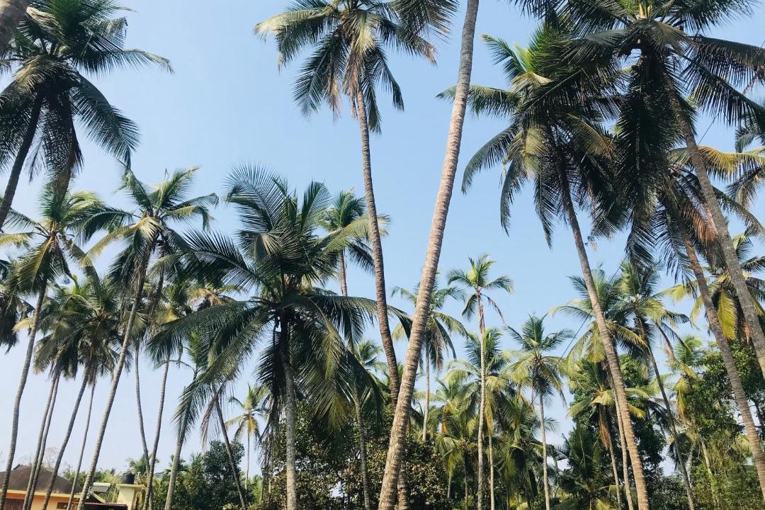 Photo of Outdoor in Thalassery
