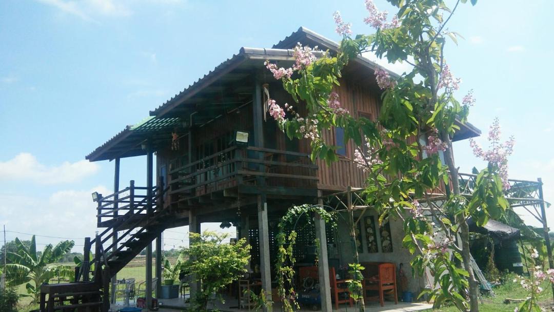 Photo of Others in Nakhon Luang