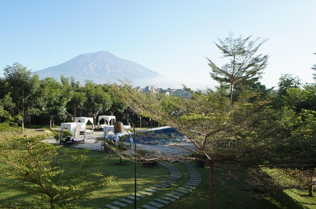 Photo of Others in Dinoyo