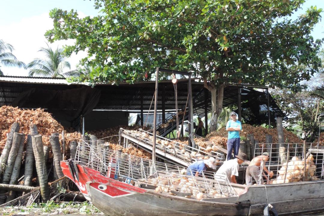 Photo of Others in Ben Tre