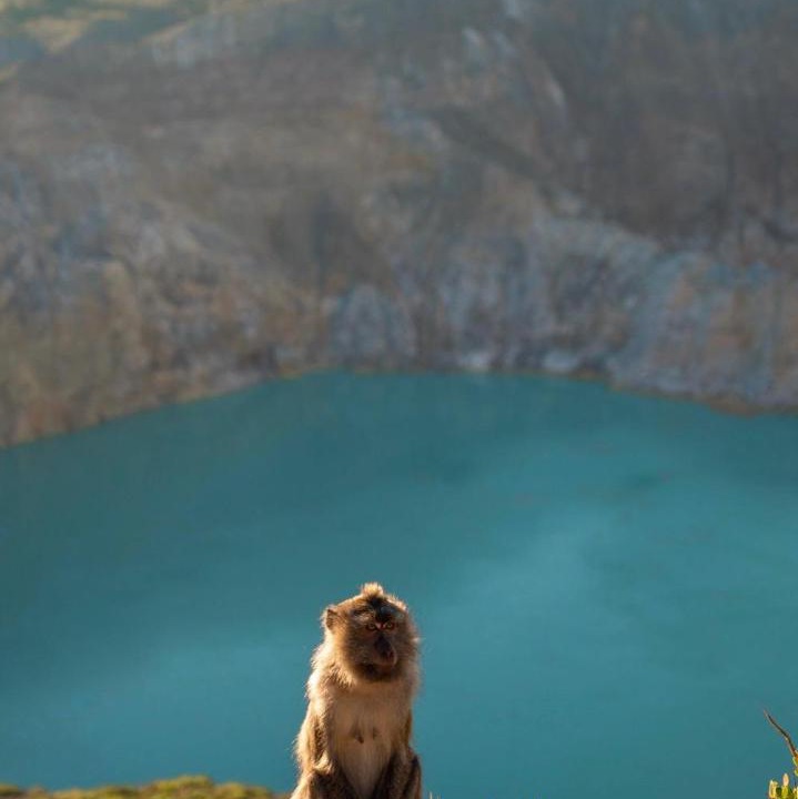 Photo of Others in Moni