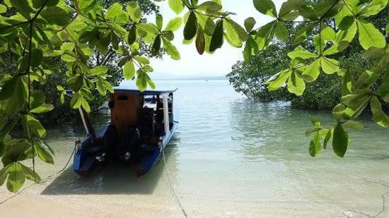 Photo of Others in Bunaken