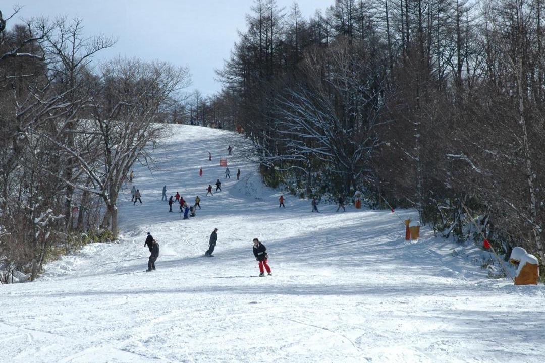 Photo of Others in Nikko