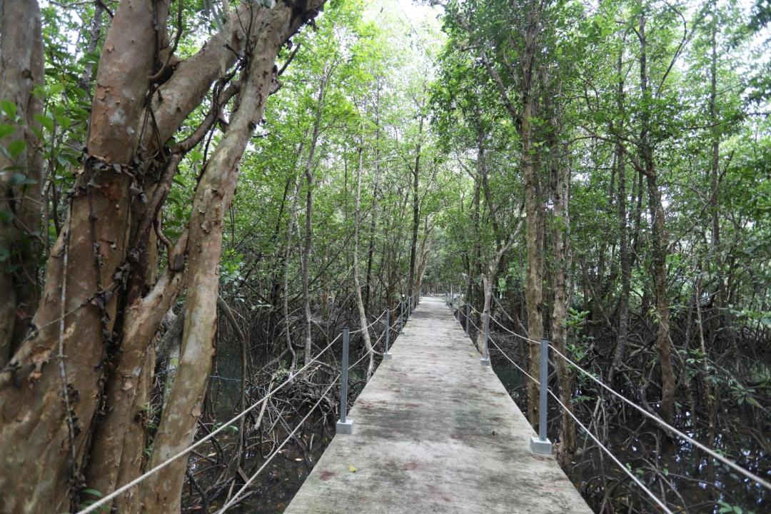 Photo of Others in Ko Kood