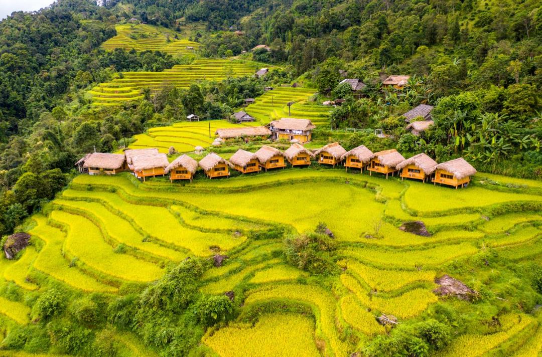 Photo of Others in Thong Nguyen