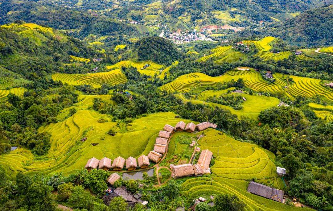 Photo of Others in Thong Nguyen