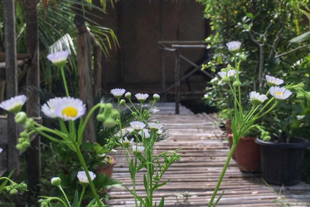 Photo of Patio Balcony in Phetchabun