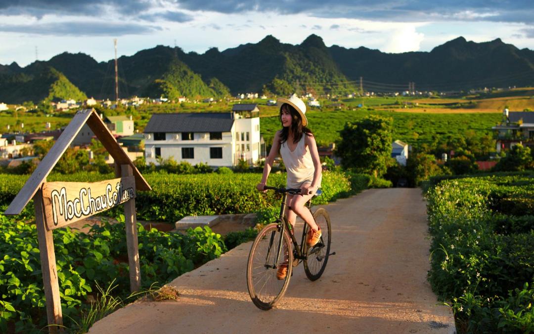 Photo of Others in Moc Chau