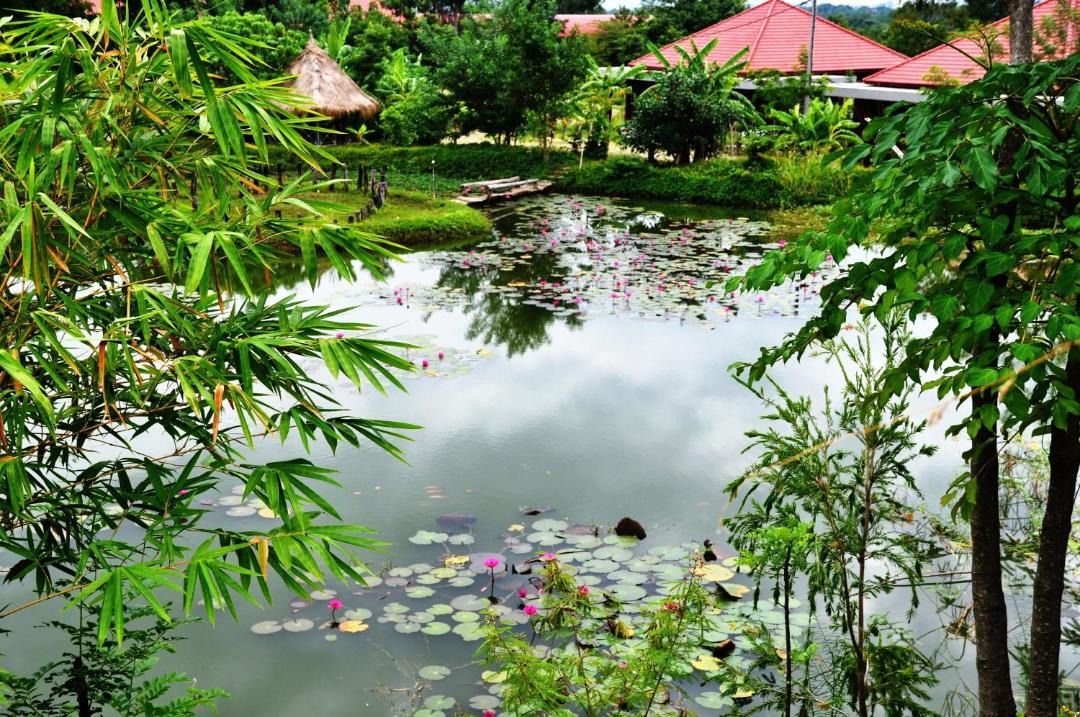 Photo of Others in Pailin