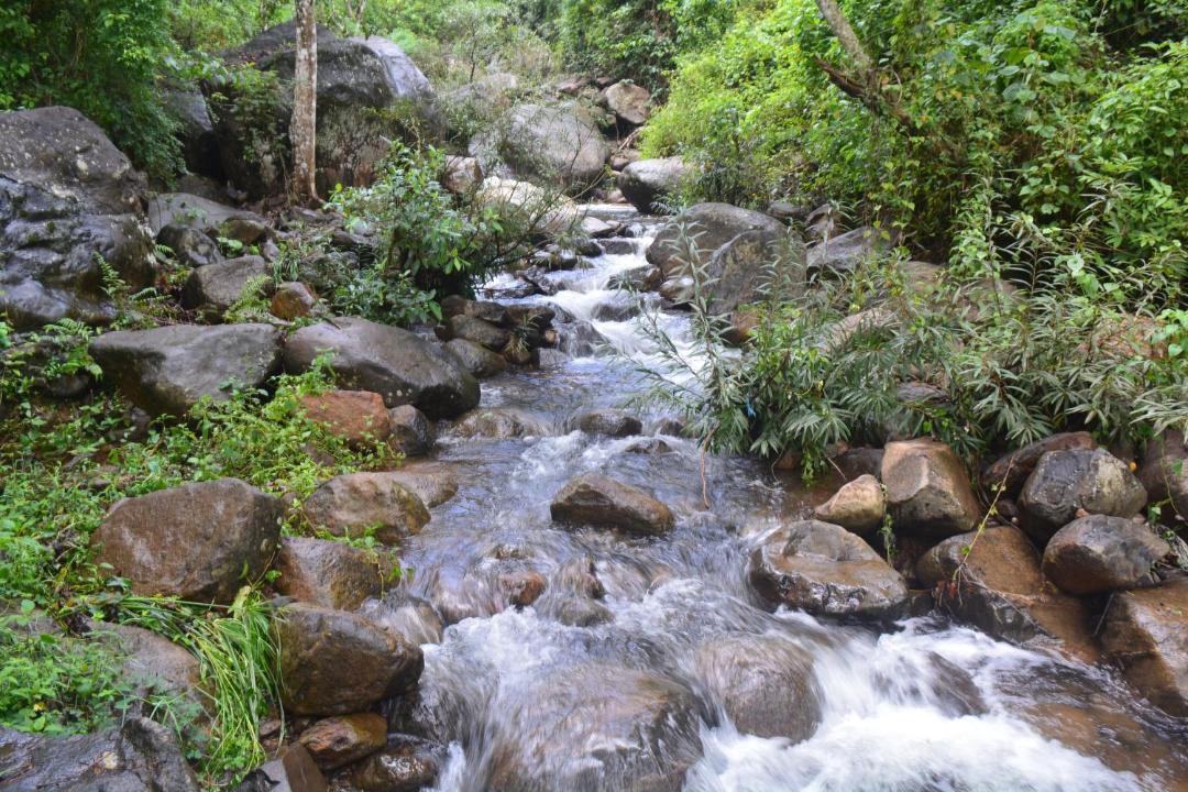 Photo of Others in Kottappadi part