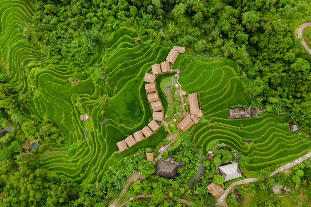 Photo of Others in Thong Nguyen