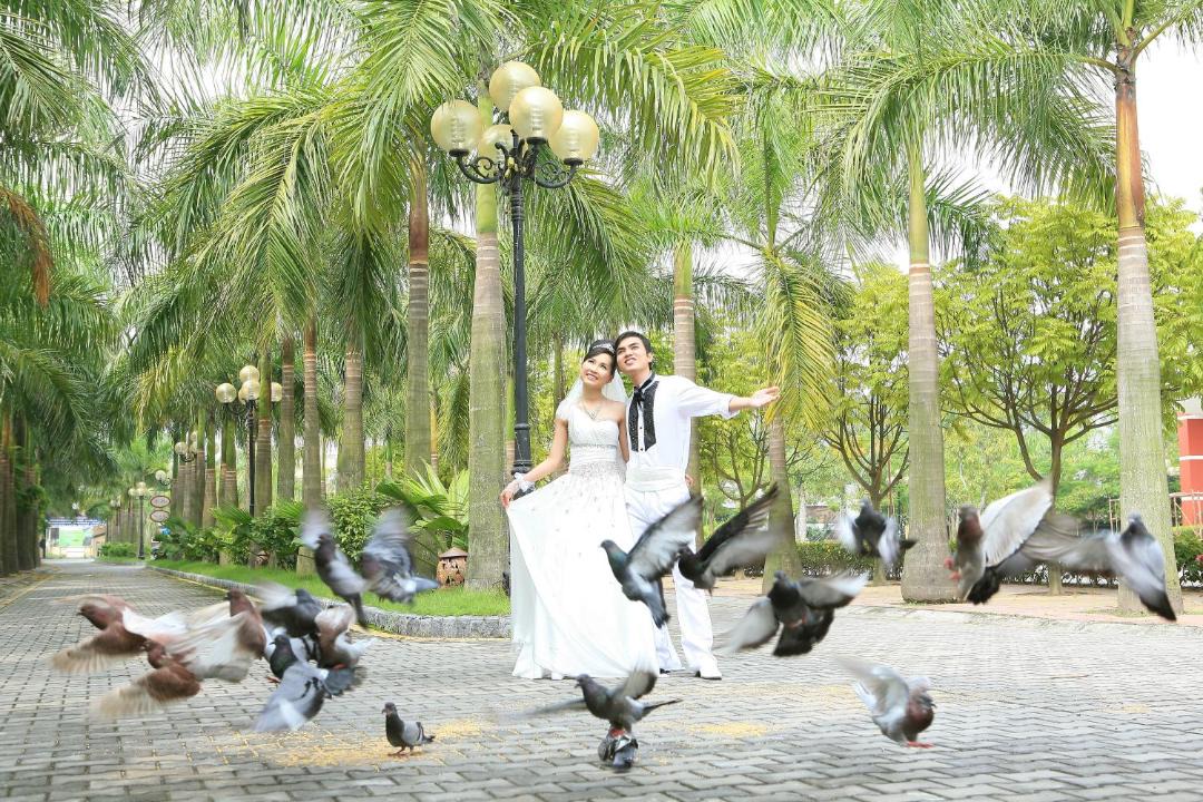 Photo of Others in Hai Phong