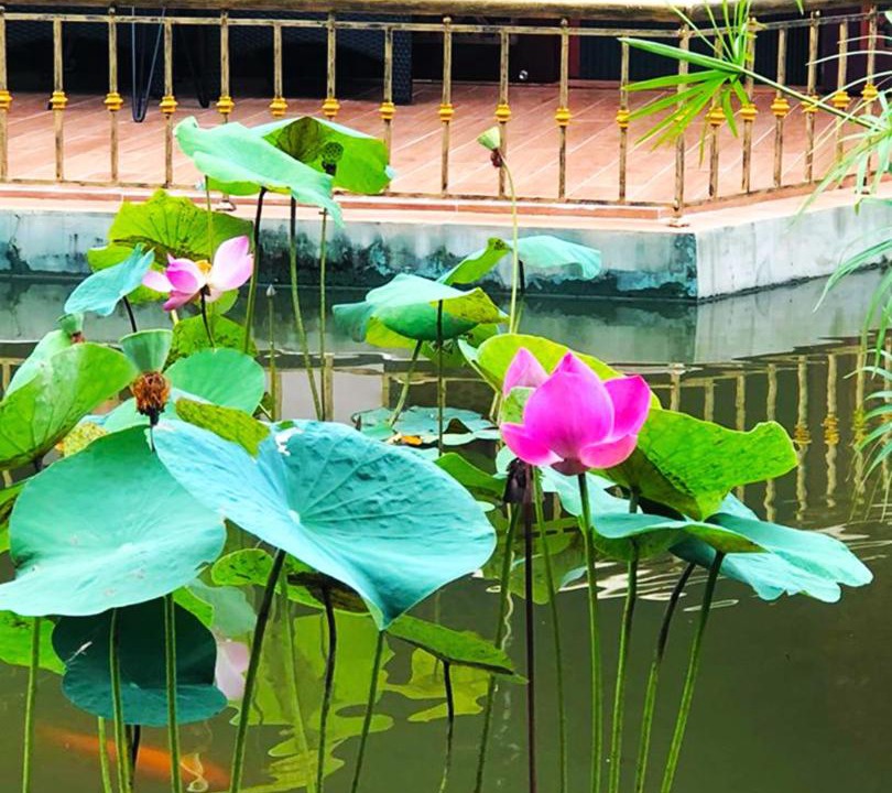 Photo of Others in Ninh Kieu