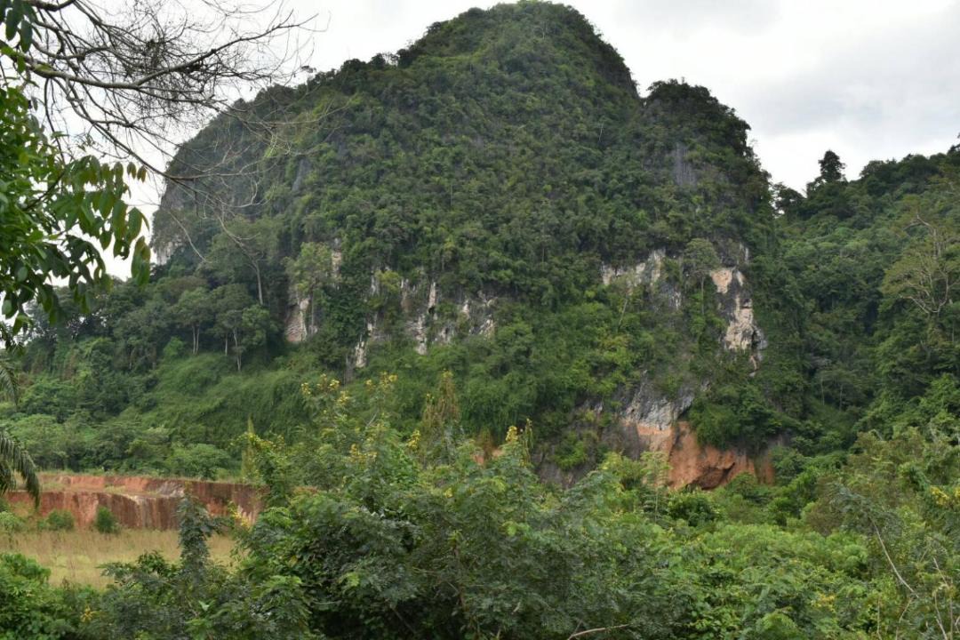 Photo of Others in Krabi