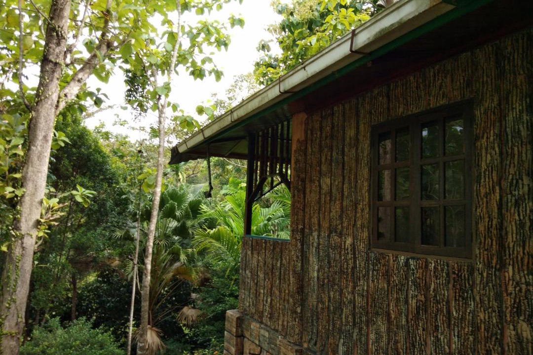 Photo of Others in Sepilok