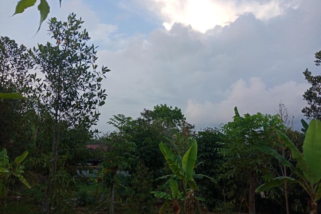 Photo of Others in Batukliang