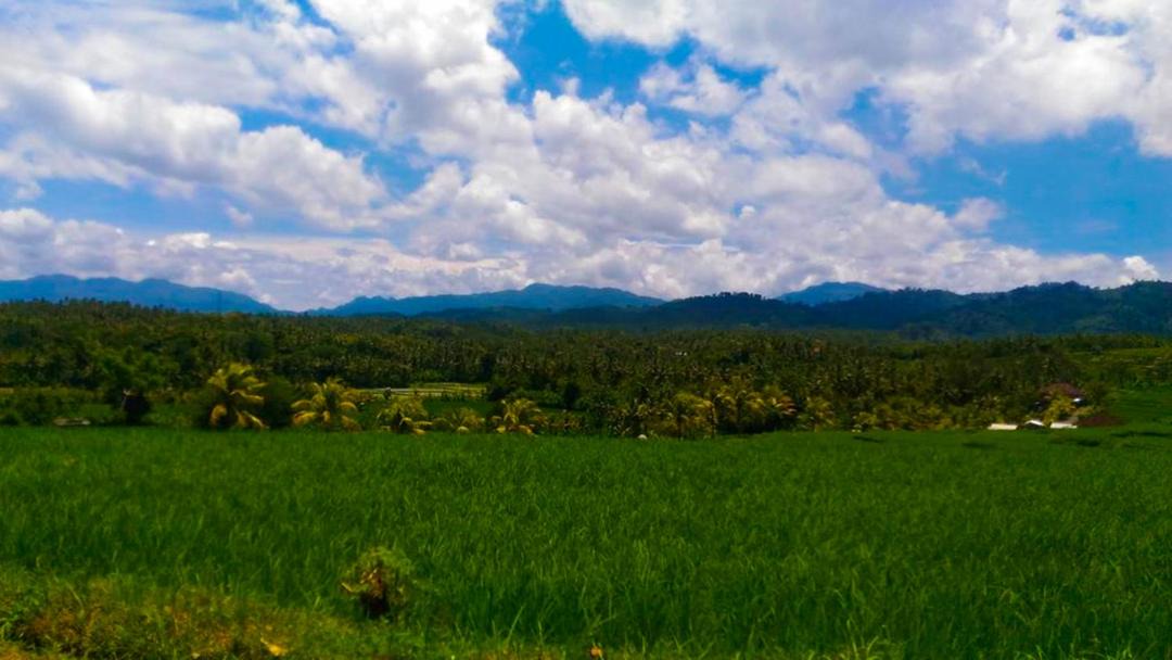 Photo of Outdoor in Mendoyo
