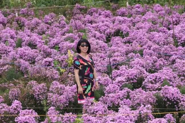 Photo of Others in Da Lat