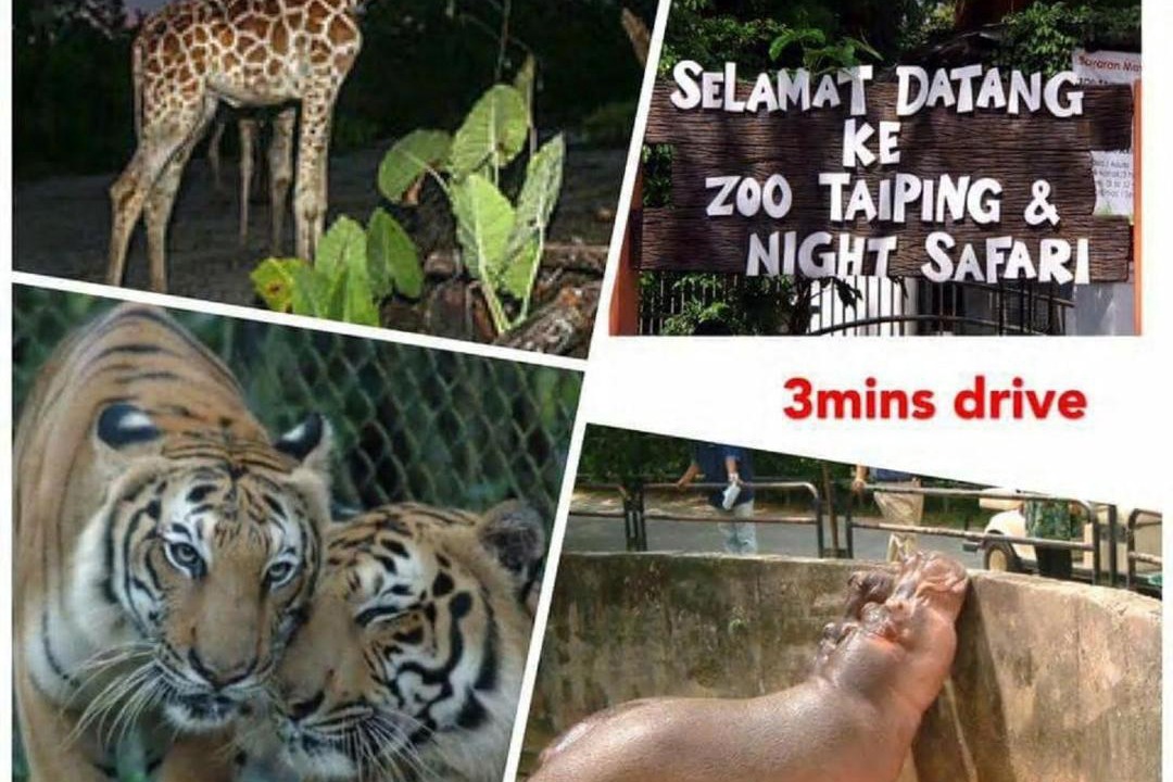 Photo of Others in Asam Kumbang