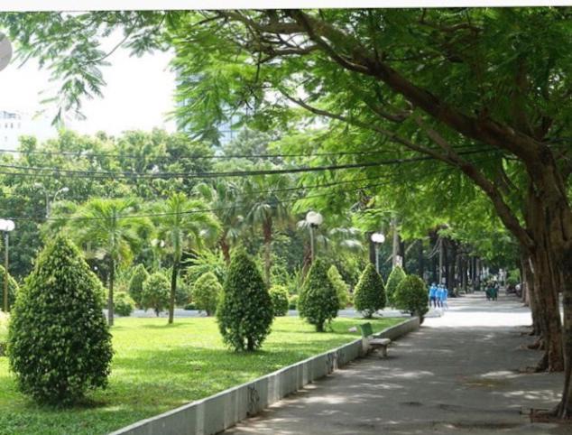 Photo of Others in Bui Thi Xuan